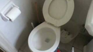 My Toilet Wont Stop Flushing [upl. by Hines]