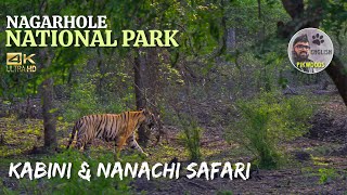 Forest Safari in Kabini and Nanachi Gates  Nagarhole National Park English  Karnataka [upl. by Andreas]