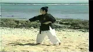 Sensei Shimpo Matayoshi Kobudo Video [upl. by Torrie]