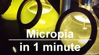 Micropia Amsterdam In One Minute [upl. by Yesrej]