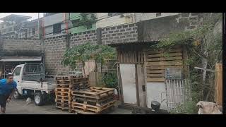 fabella knife throwing group 10202024slow motion2 [upl. by Oleg]