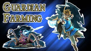 BOTW  Best Guardian Farming Strategies [upl. by Neda]