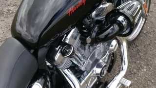 Harley Davidson Sportster 883 Superlow Stage 1 update 1 [upl. by Drahser]