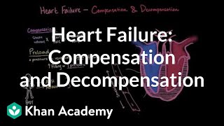 Compensation and decompensation in heart failure  NCLEXRN  Khan Academy [upl. by Harlie51]