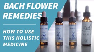 Bach Flower Remedies  How to use this holistic medicine for wellness [upl. by Brine]