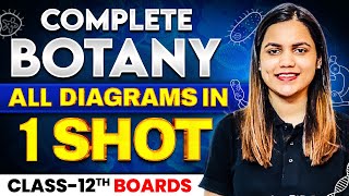 Class 12th  Complete BOTANY All Diagrams Revision in 1 Shot  Full Syllabus Covered CBSE Board [upl. by Acimad]