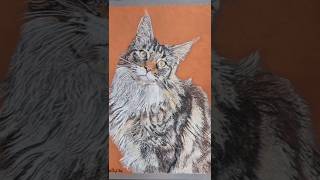 Pastel pencil potrait potrait cat catpainting catdrawing catpastel pastelpencils shortsart [upl. by Korry]