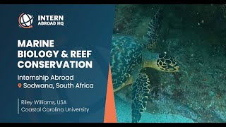 Marine Biology internship in South Africa with Riley  Intern Abroad HQ [upl. by Rengia]