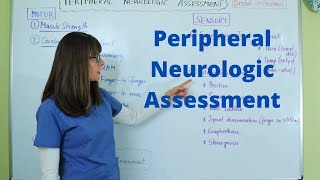 Peripheral Neurologic Assessment [upl. by Innavoij]