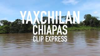 Yaxchilán  Chiapas México  Luis Espero [upl. by Ecenaj]