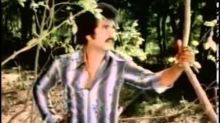 Panimalar 1981  All Songs Teaser [upl. by Osanna]