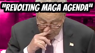 Chuck Schumer quotRevolting MAGA Agenda the Most Radical Unhinged Collection of Policiesquot [upl. by Nodnerb]