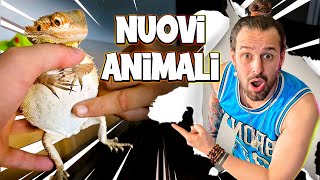 Mi Hanno Regalato degli ANIMALI di Nuovo [upl. by Tarsuss524]