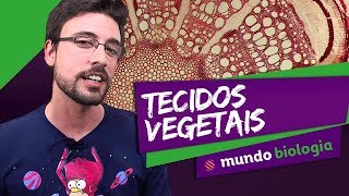 🌿 Botânica 35 Histologia Vegetal  Biologia  ENEM [upl. by Sesmar110]