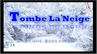 quot나뭇가지 위의 새도 눈물을 흘려요quot Tombe La Neige  Paul Mauriat orchestra 눈이 내리네  폴모리아 [upl. by Natasha427]