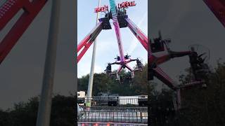 Goose fair youtubeshorts ytshorts fyoupage foryou trendingshorts [upl. by Beare]