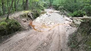 Kisatchie National Forest  Sandstone Trail [upl. by Eirrem]