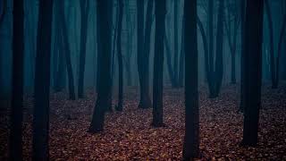 Free Horror Ambiance  Ominous Background Music [upl. by Seerdi104]