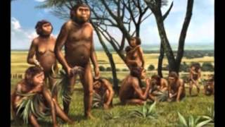 Australopithecus Africanus Physical anthropology [upl. by Roede]