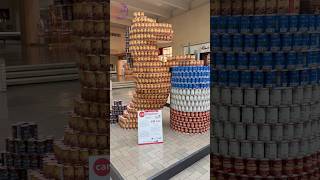 Creative Can Construction for Charity to Fight Hunger ytshorts canstruction trending [upl. by Affra]