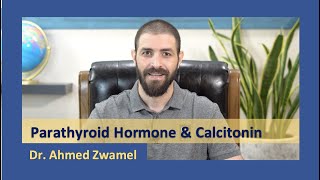 Endocrinology  Parathyroid hormone and Calcitonin  Dr Ahmed Zwamel [upl. by Sperling]