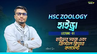 Hydra Hsc Biology । হাইড্রা এইচ এস সি। HSC zoology Hydra। প্রানীবিজ্ঞান চ্যাপ্টার ২। hscbiology [upl. by Nnylirehs]