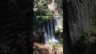 Chantry flats 4 years after bobcat fire [upl. by Annoled]