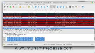 45 Wireshark packet analyzer custom profile [upl. by Kaliski]