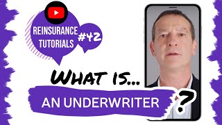 ✅ What is an underwriter  Reinsurance tutorials 42 [upl. by Neelya745]