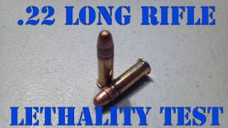 22LR LETHALITY  300 Yard Ballistics Test [upl. by Cychosz]