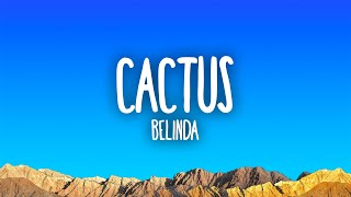 Belinda  Cactus [upl. by Yorke]