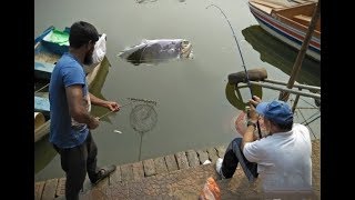 5000 Taka Enjoyable traditional Catching fish Baridhara DOHS Lake Dhaka Bangladesh [upl. by Reema761]