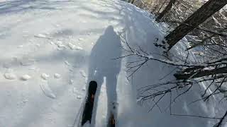 Serre chevalier freeride Fôret Le Mônetier les Bains [upl. by Zeret]