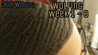 HOW TO GET 360 WAVES  Wolfing Week 1  8 4K [upl. by Lek]