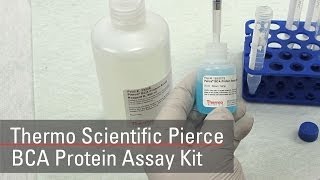 BCA Protein Assay Reagent bicinchoninic acid [upl. by Tench130]