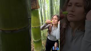 bamboo water shortvideo nature bushcraft satisfying survival wood lifehack [upl. by Wagshul736]