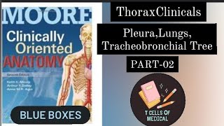 PART 2  THORAX CLINICALS  PLEURA  LUNGS  TRACHEOBRONCHIAL TREE  KLM  Clinicals [upl. by Ranna]