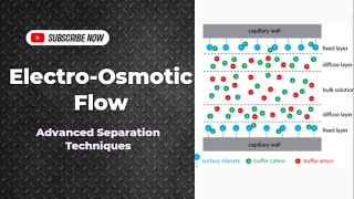 ElectroOsmotic Flow  Capillary Electrophoresis  Separation Techniques CHM603  UrduHindi Lecture [upl. by Ttehc]