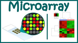 Microarray Technique  DNA Microarray  Gene expression analysis using microarray [upl. by Cordalia]