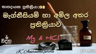 මැග්නීසියම් හා අම්ල අතර ප්‍රතික්‍රියාව  magnesium and hydrochloric acid reaction  exothermic rea [upl. by Regor]