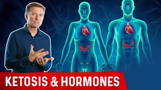 How Ketones Affect Hormones and the Endocrine System [upl. by Dougy]