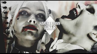 ▹ Harley Quinn ♣ Joker ready or not ◃ [upl. by Anidam]