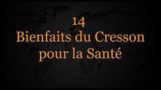 14 bienfaits du cresson pour la santé [upl. by Olfe374]