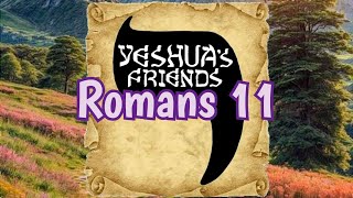 Bible Reading on Romans 11 CJB Version [upl. by Nivan969]