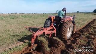 Trator Agrale 4200 lavrando com arado vira chapa de 2 bacias abertas [upl. by Agatha]