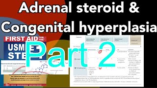 Adrenal steroid amp congenital hyperplasia part 2 in HindiUrdu  enzyme deficiency conditions [upl. by Mcclary]