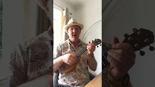 Detectorists Theme Johnny Flynn Cover I’m Waiting For You Soprano Ukulele [upl. by Ed]