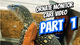 Ornate Monitor Care Part 1 [upl. by Dorree954]