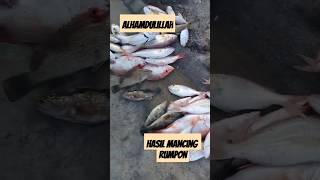 Pembagian Hasil Mancing Rumpon [upl. by Alliuqahs]