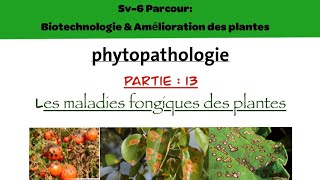 Phytopathologie  partie 13 Les maladies fongiques des plantes [upl. by Etteuqal]